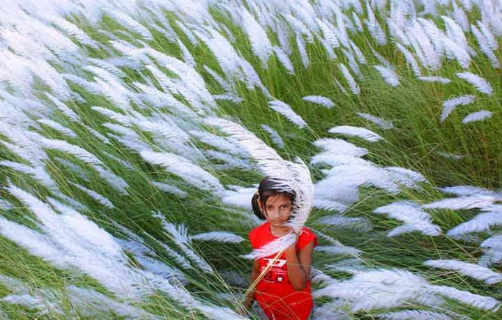 বর্ষার আকাশে শরতের রং