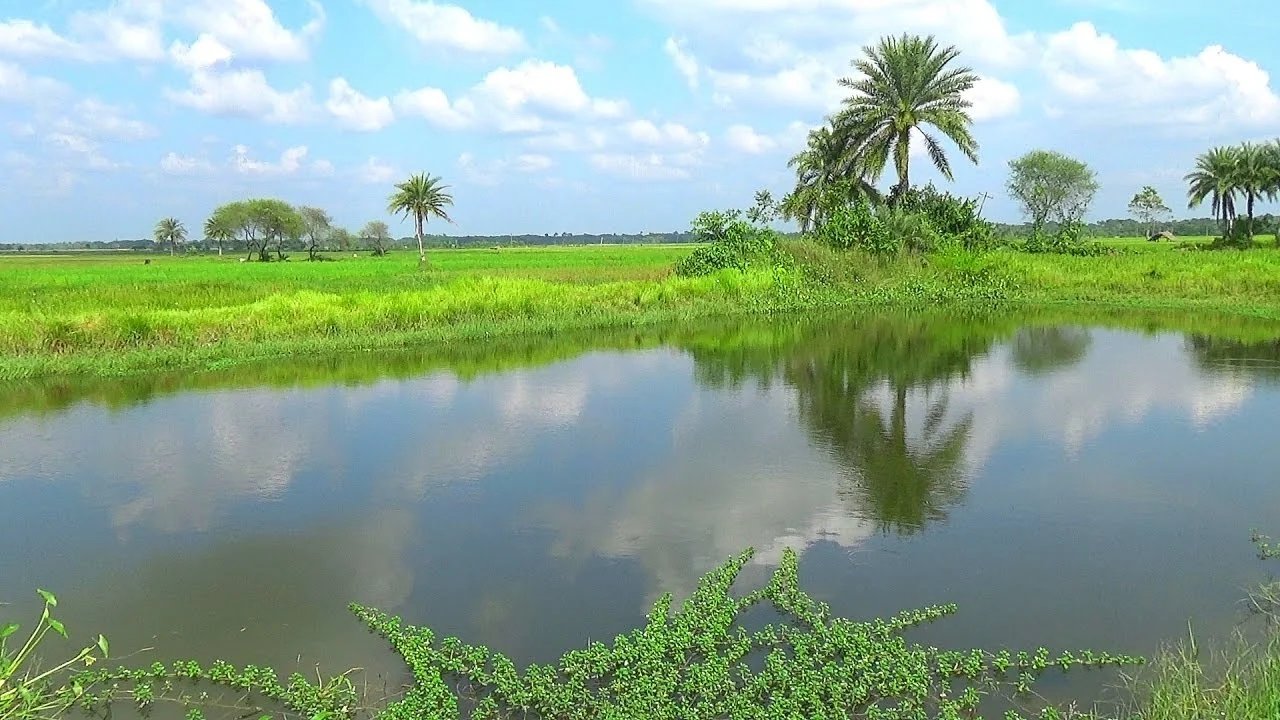 বর্ষার আকাশে শরতের রং
