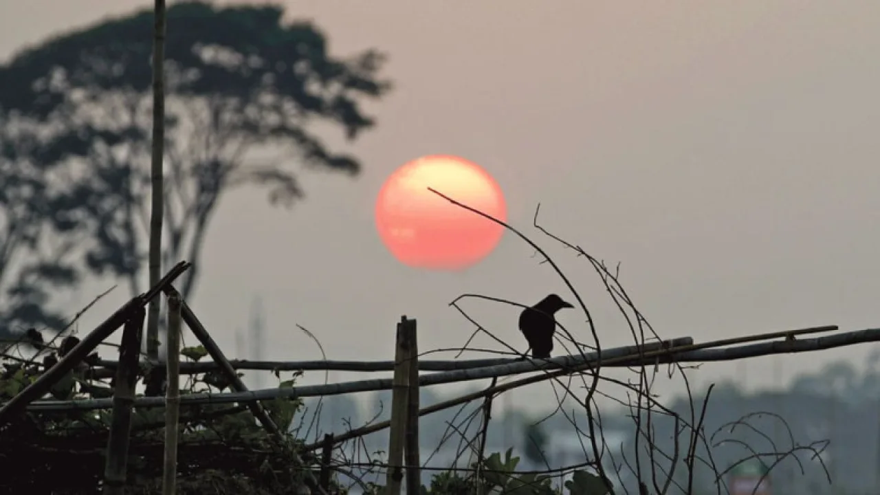 প্রাপ্তি ও প্রত্যাশার সন্ধিক্ষণ; সংকট পেরিয়ে সমৃদ্ধির পথে বাংলাদেশ  ​