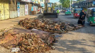 চট্টগ্রামে সিন্ডিকেটের ছোবলে রাস্তায় কোরবানির চামড়া